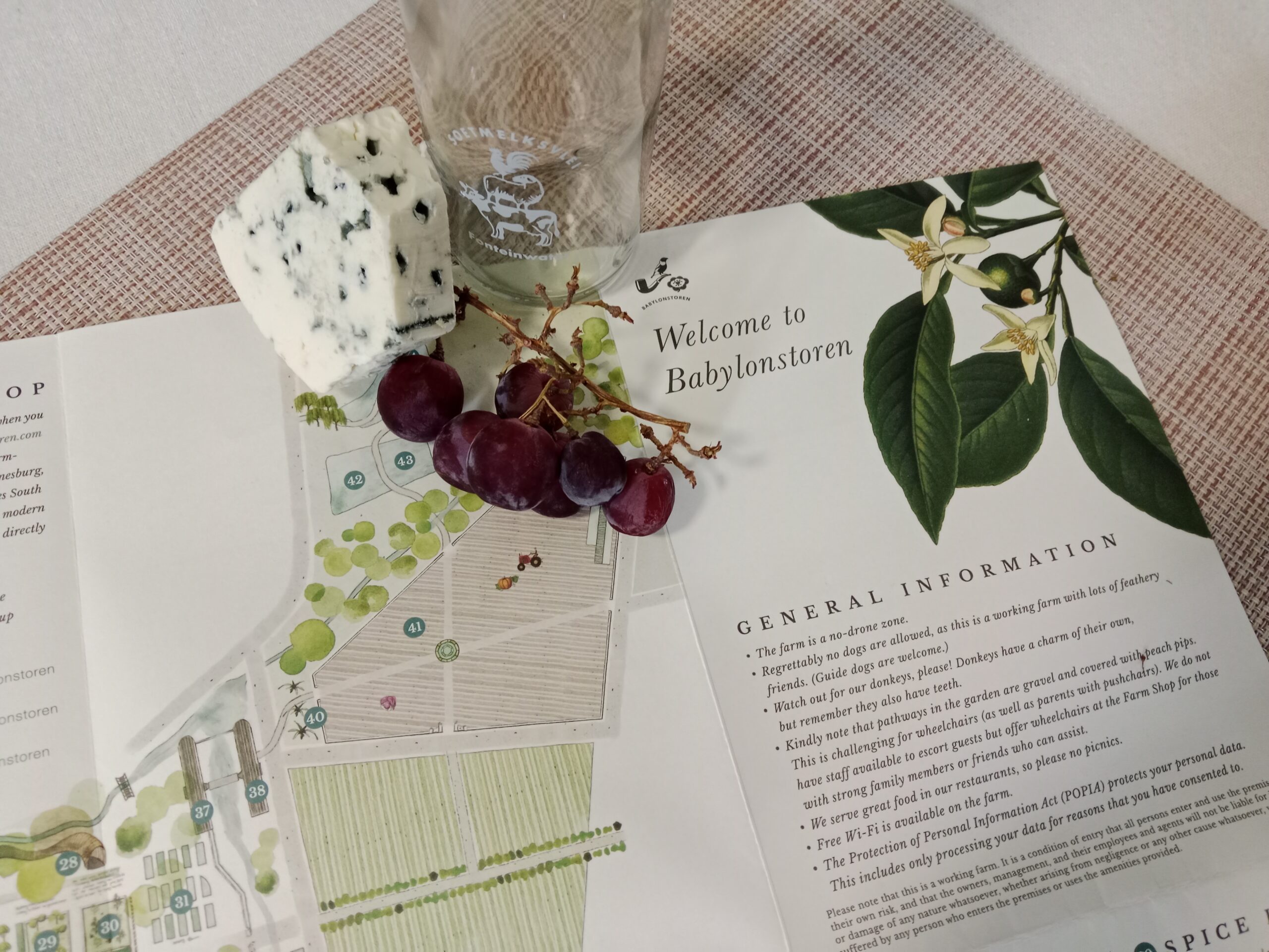 A map of the Babylonstoren farm in the Cape Winelands